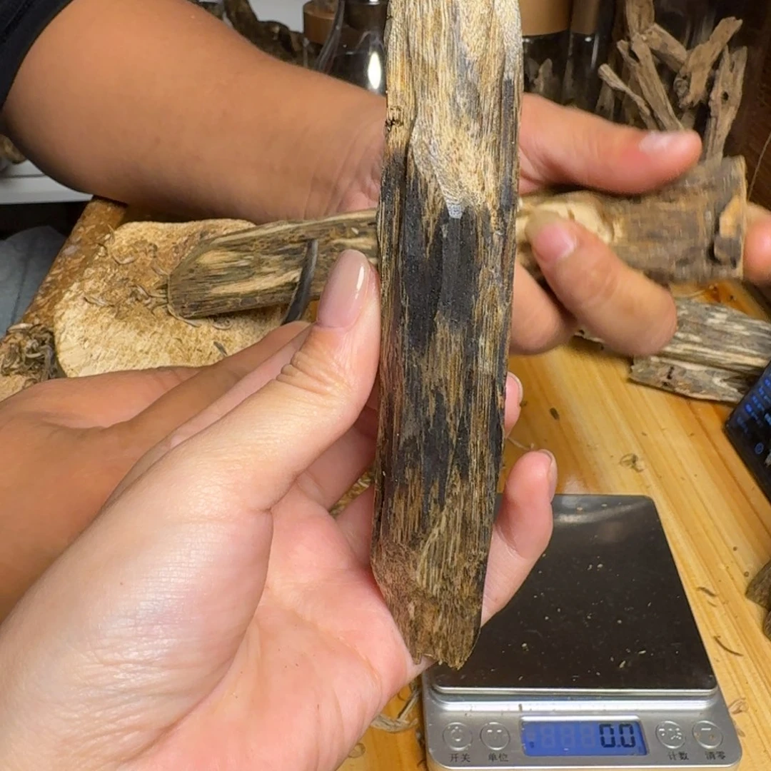 沉香油叶子品种虫漏25克