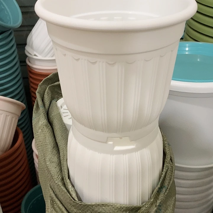 罗马口18高16白5个