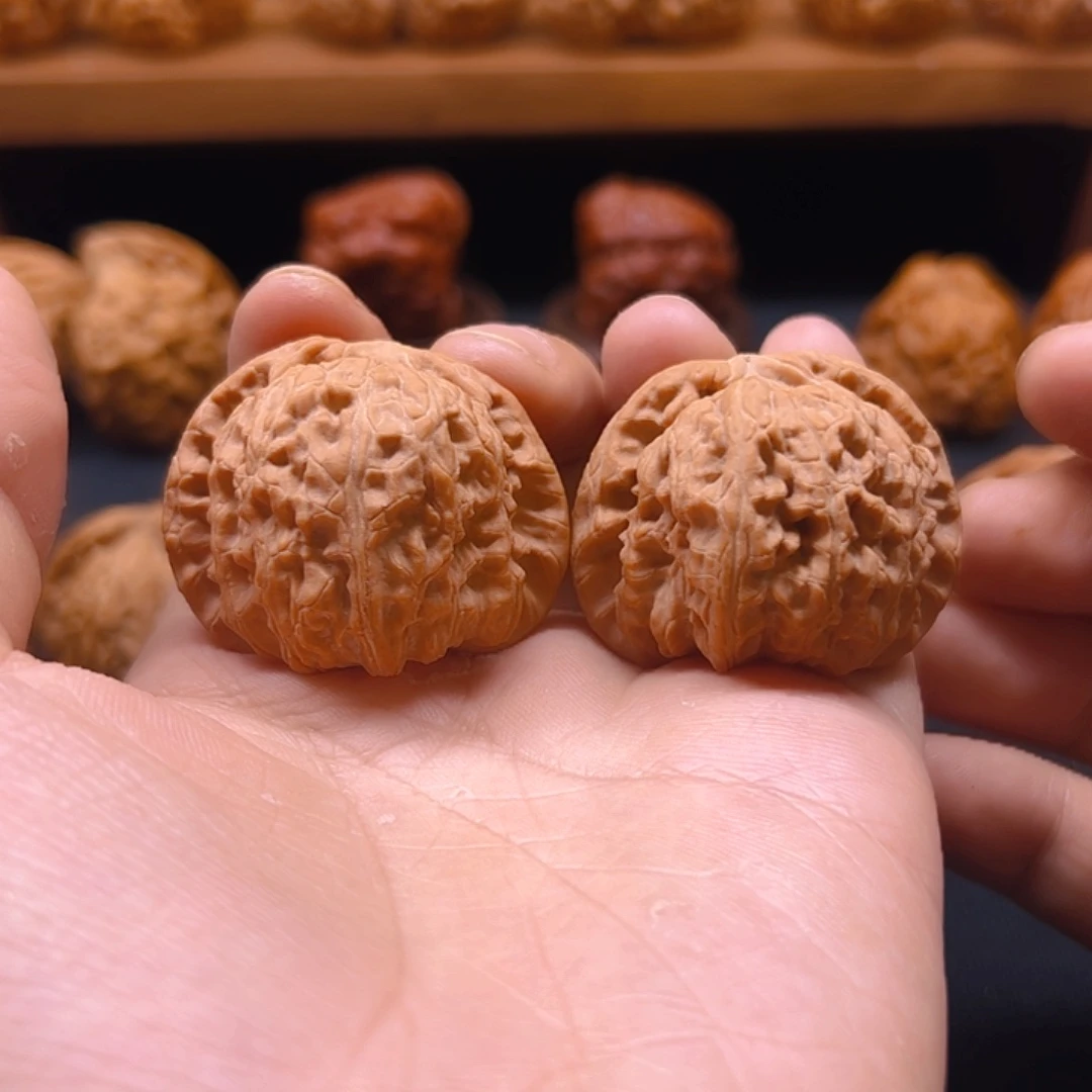 核桃把件白狮子红皮全品40