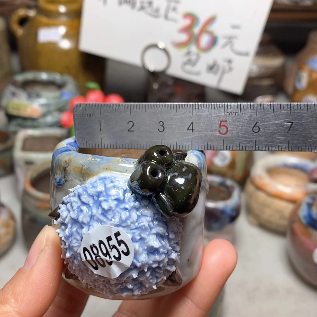 花盆拍3送一个小礼物
