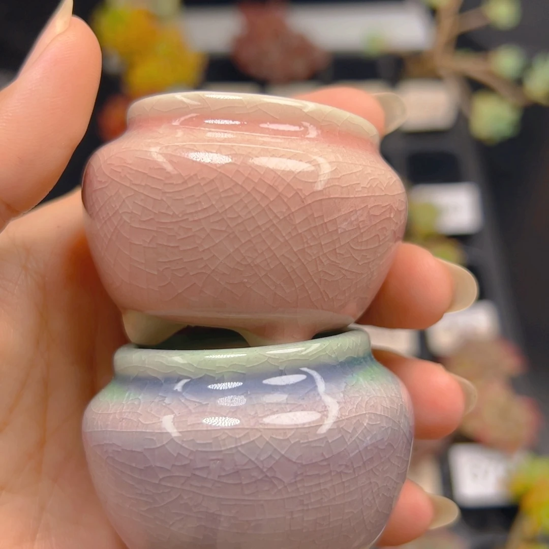 圆墩盆一个，颜色随机，不含多肉