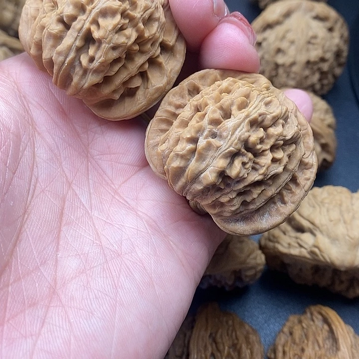 吊坠龙脊菩提红楼43