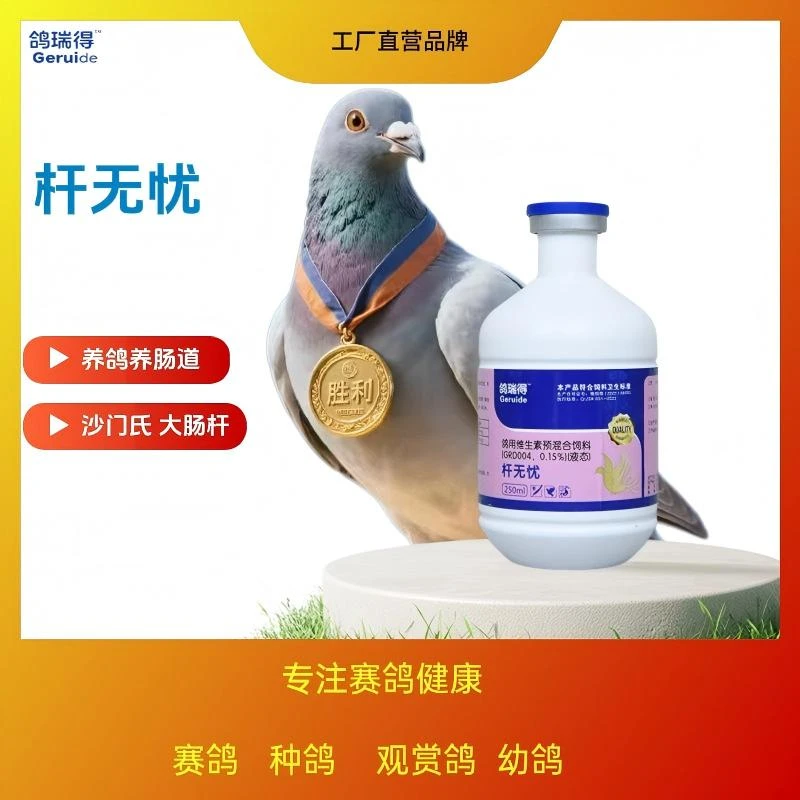 杆无忧幼鸽沙门氏大肠杆消化肠道黄白便水绿便关节肿瘫痪黑肚皮