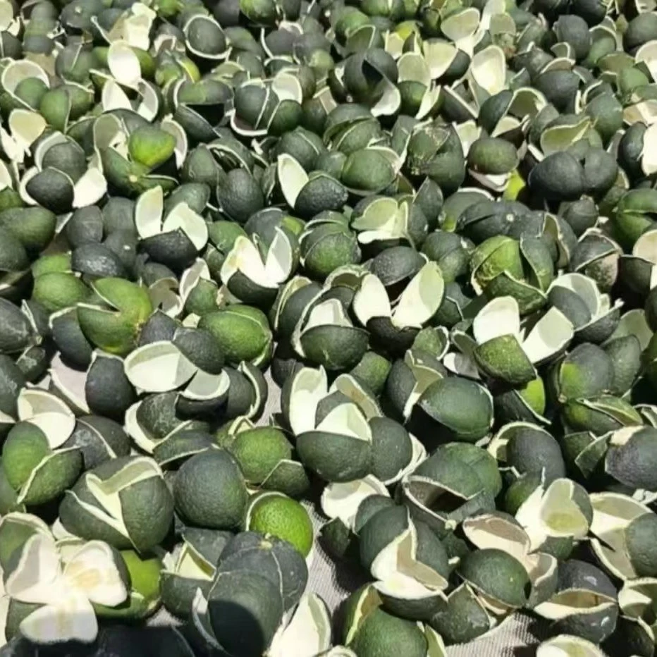 2025年新会天马茶枝柑三花青皮