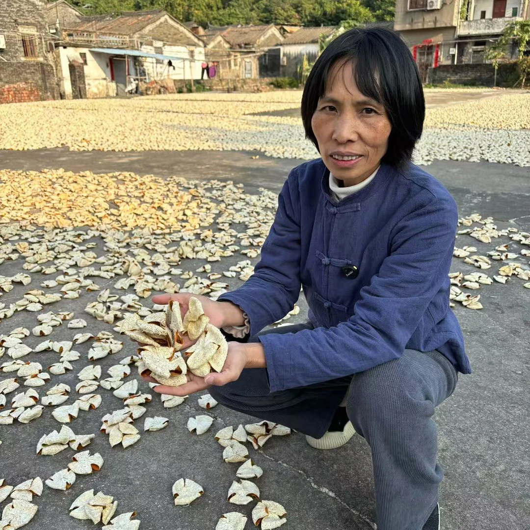 2024西甲原枝精品定制款折花皮冬后大红皮陈皮茶整皮2500克