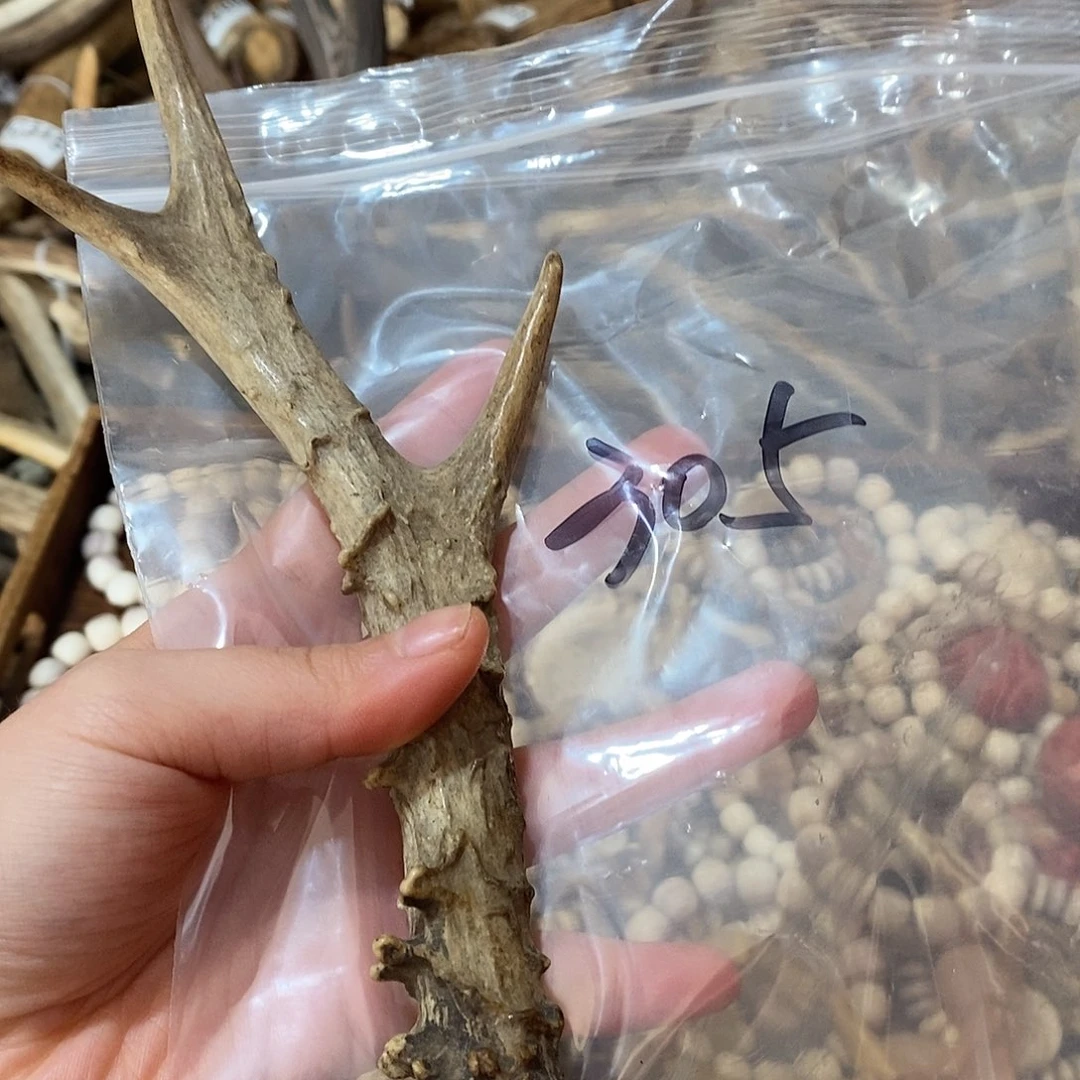 征***非金属鹿角鹿角鹿角