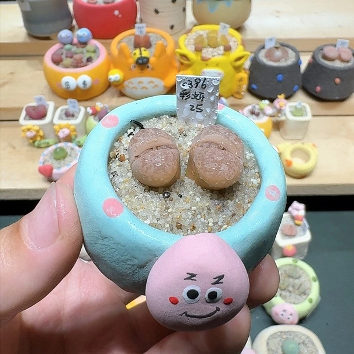 红陶蘑菇782彩研