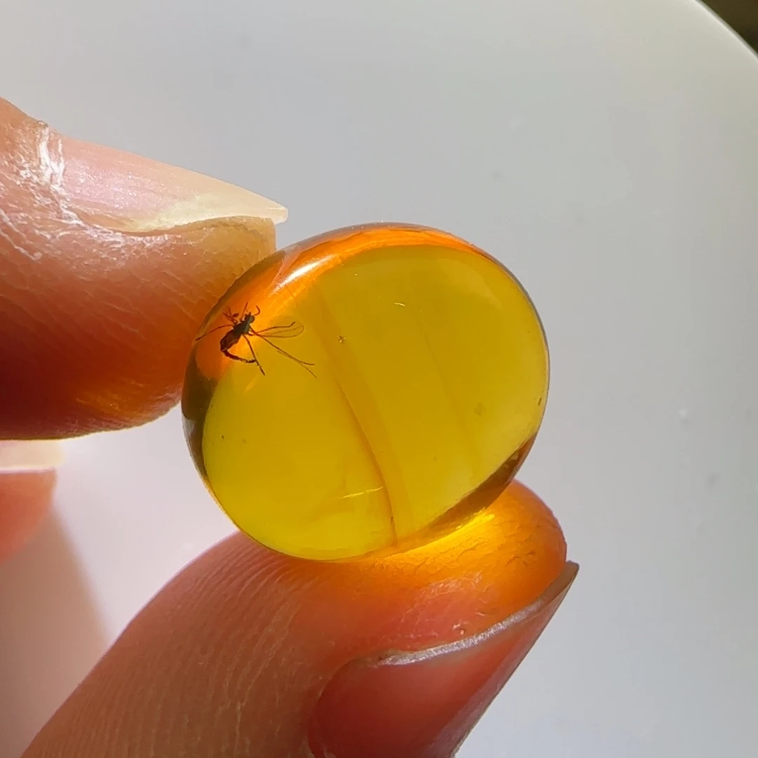 未镶嵌琥珀裸石虫珀