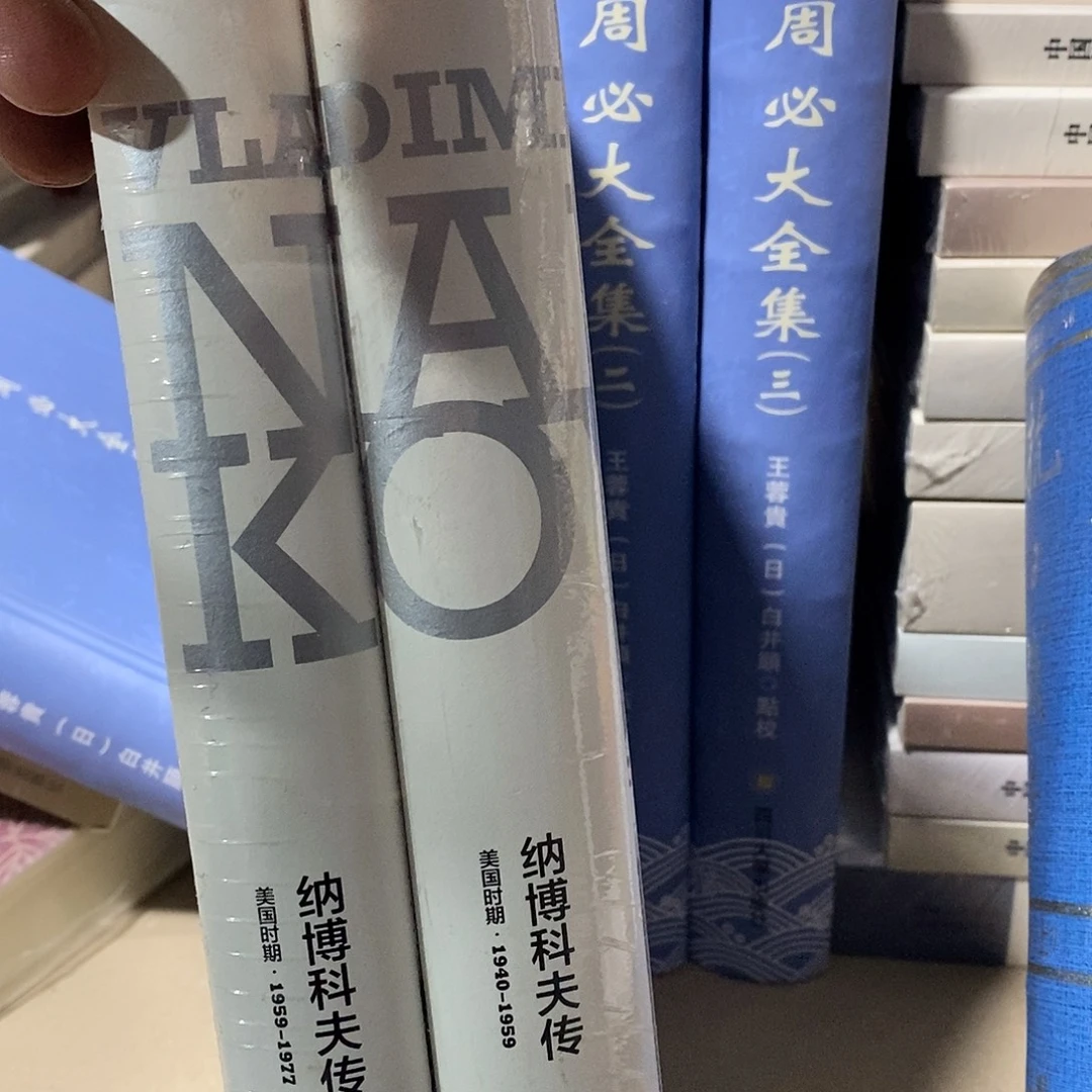 纳博科夫……………………瑕疵