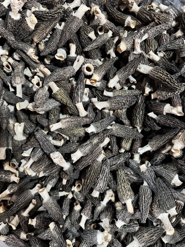 清爽七妹羊肚菌0620