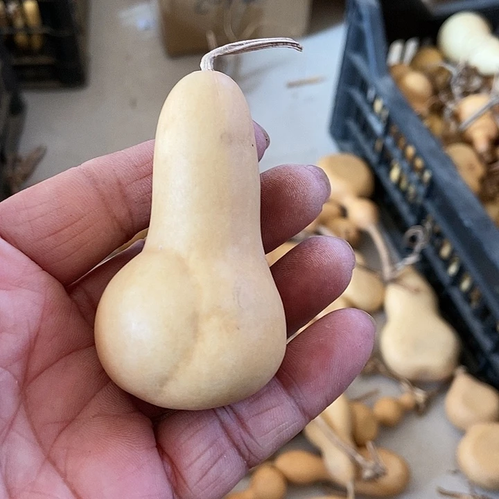 s***鹤b jk h g gui jc d