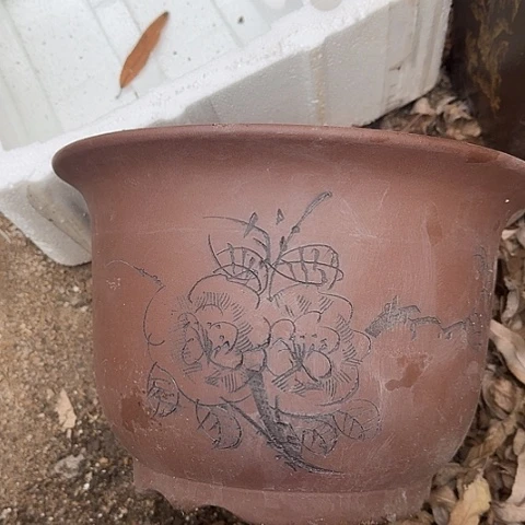 紫砂30平角金钟花盆花盆花盆