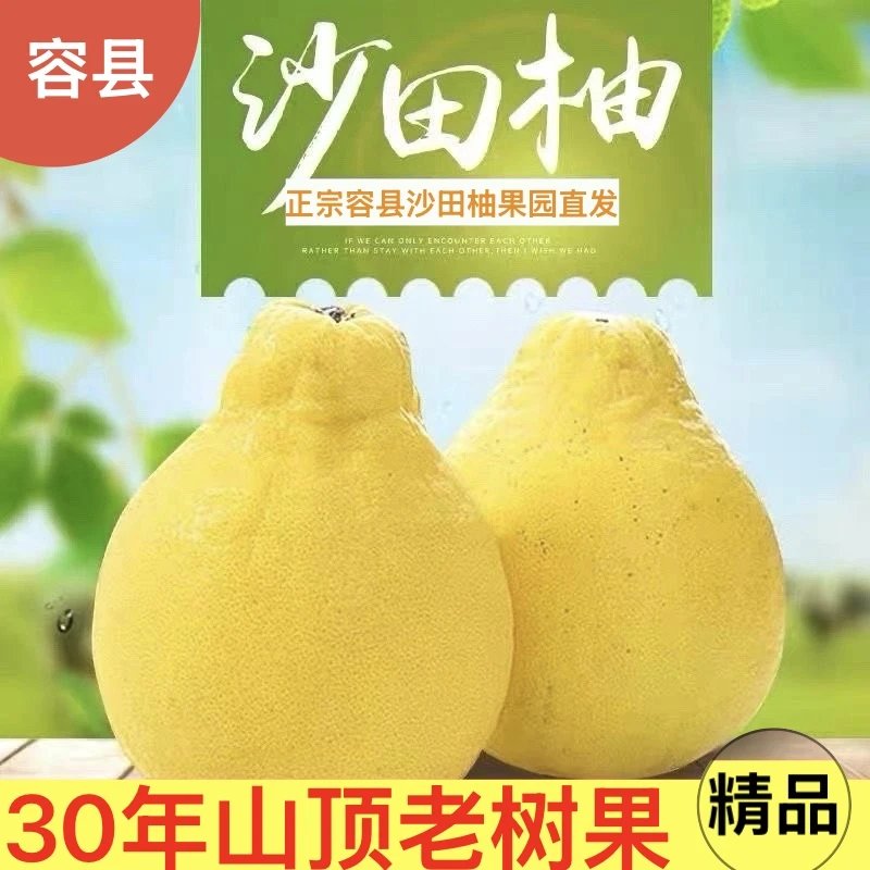 甄选级果正宗广西容县沙田柚当季纯甜白心柚子孕妇水果批发非梅州