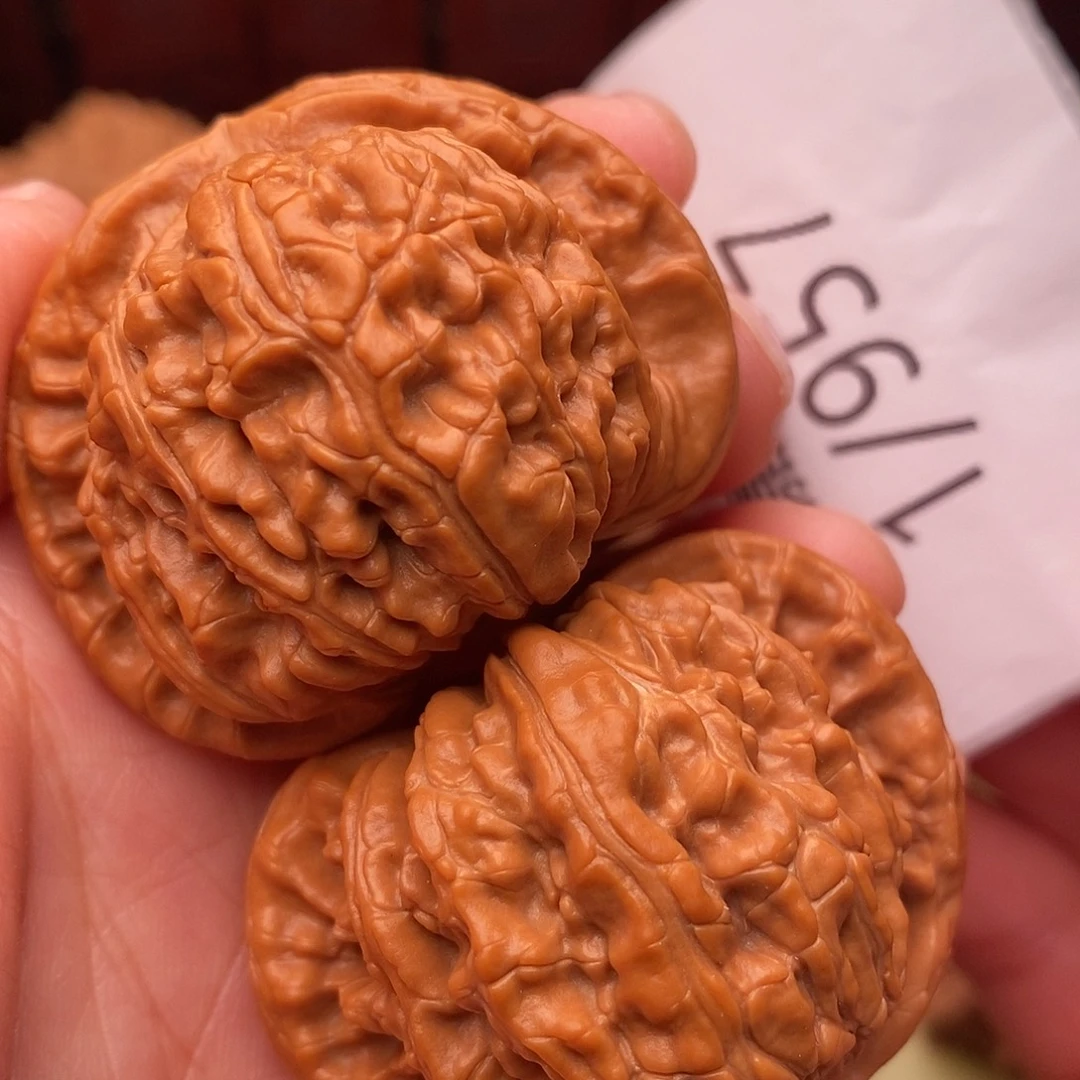 把件文玩核桃白狮子44