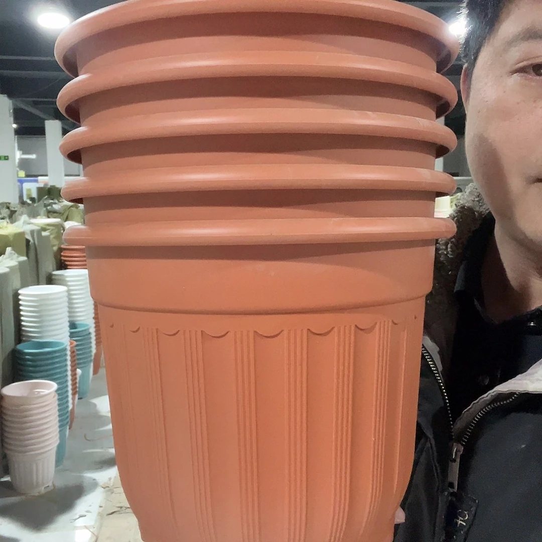 罗马240陶红5个带托盘