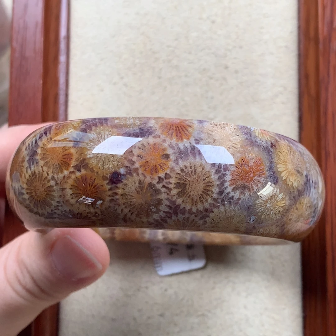 未镶嵌老料彩大花55.5圈6000/个。01硅化珊瑚（珊瑚玉