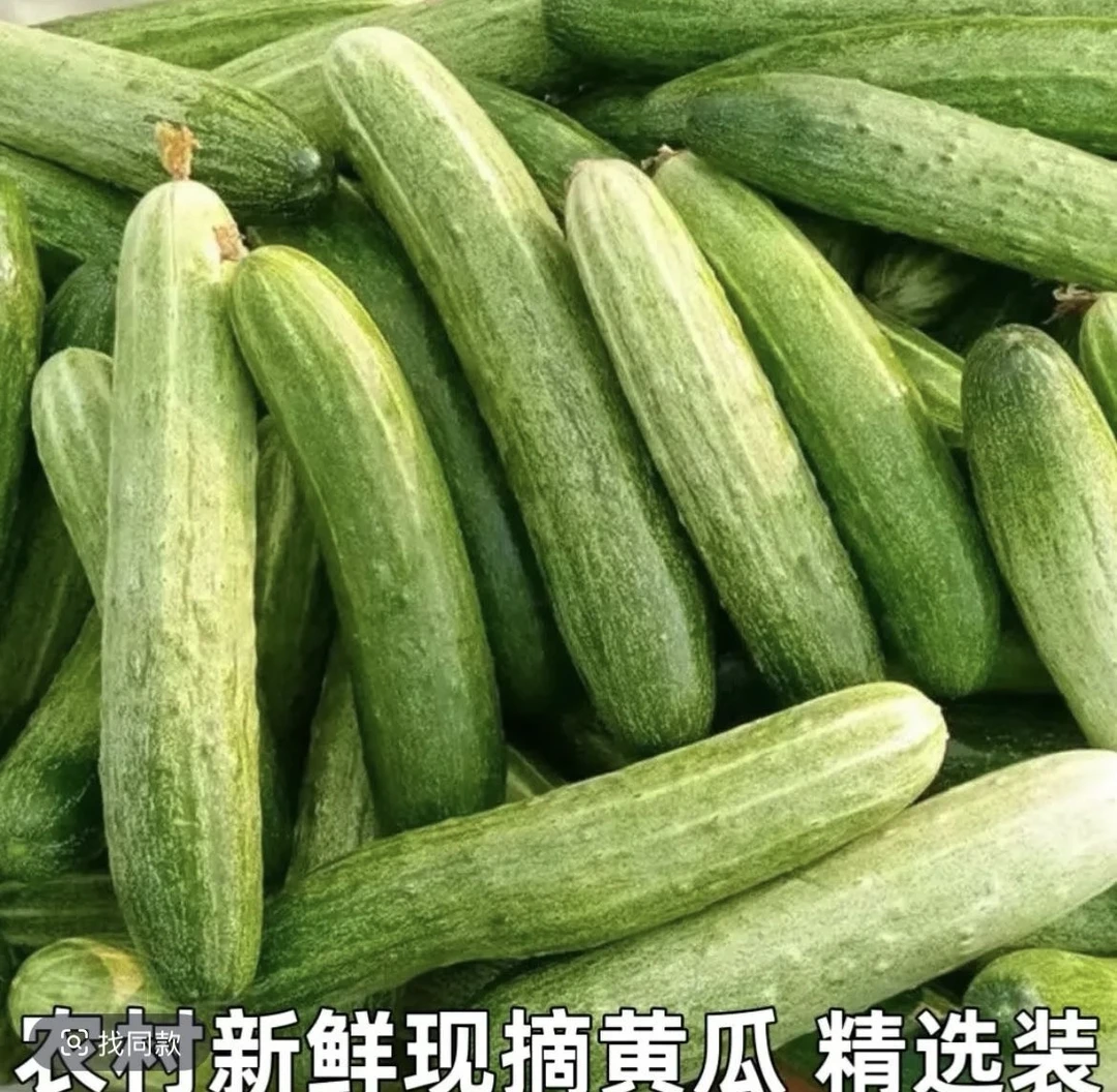 【顺丰包邮】贵州村超圣地榕江本地露天种植旱黄瓜 现摘现发