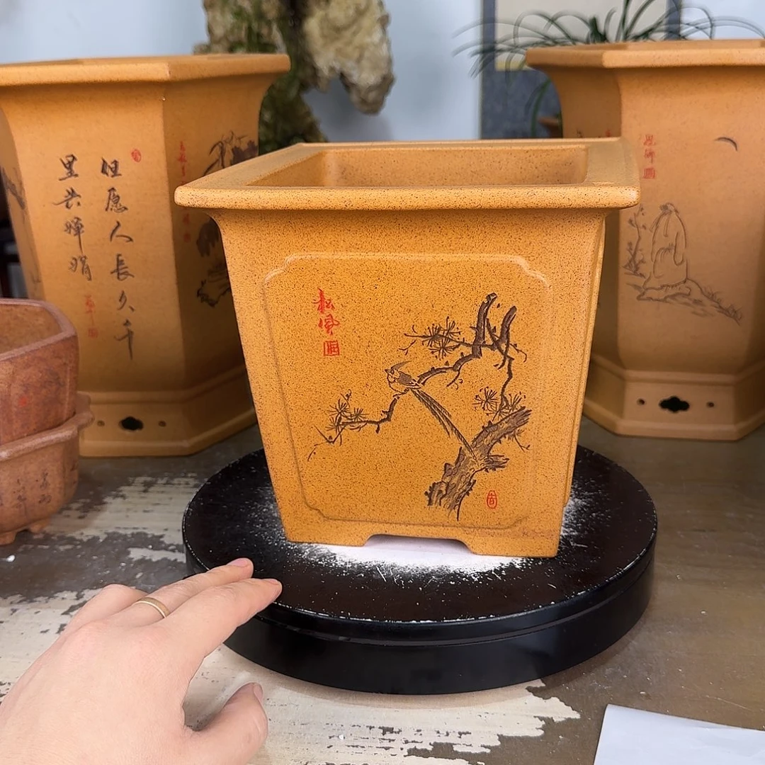 老***狂紫砂花盆紫砂花盆