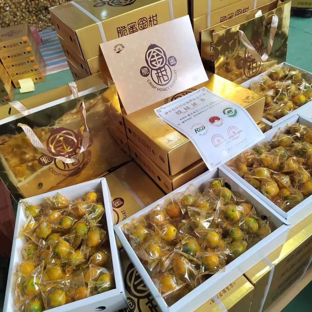 融安第三代脆蜜金柑【带皮吃，顺丰包邮】