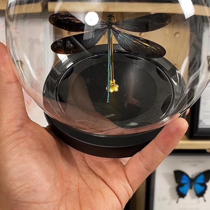 大理石磁石倾听玻璃罩款