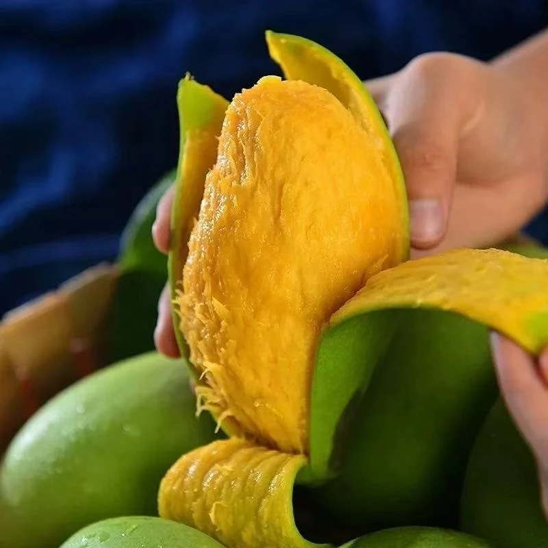 云南大青芒青皮芒果当季新鲜薄皮青芒果