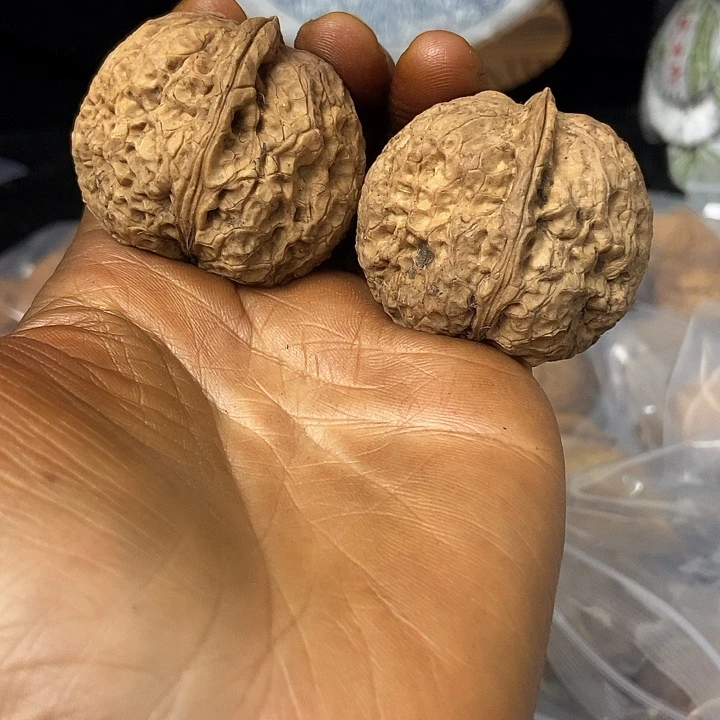 把件文玩核桃云南铁核桃基地66