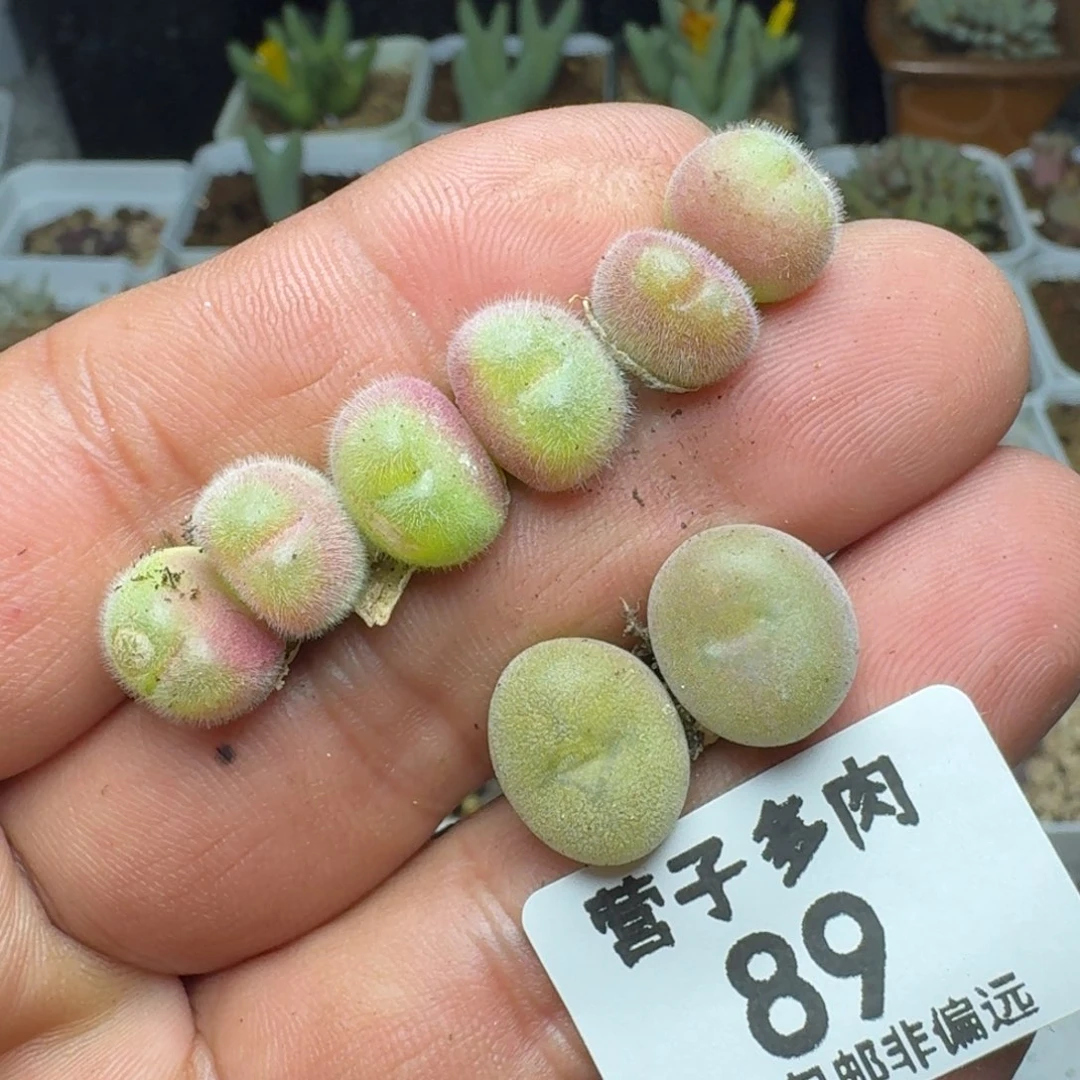福利。