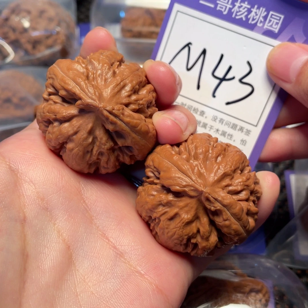 把件桃核M43号霸王龙41