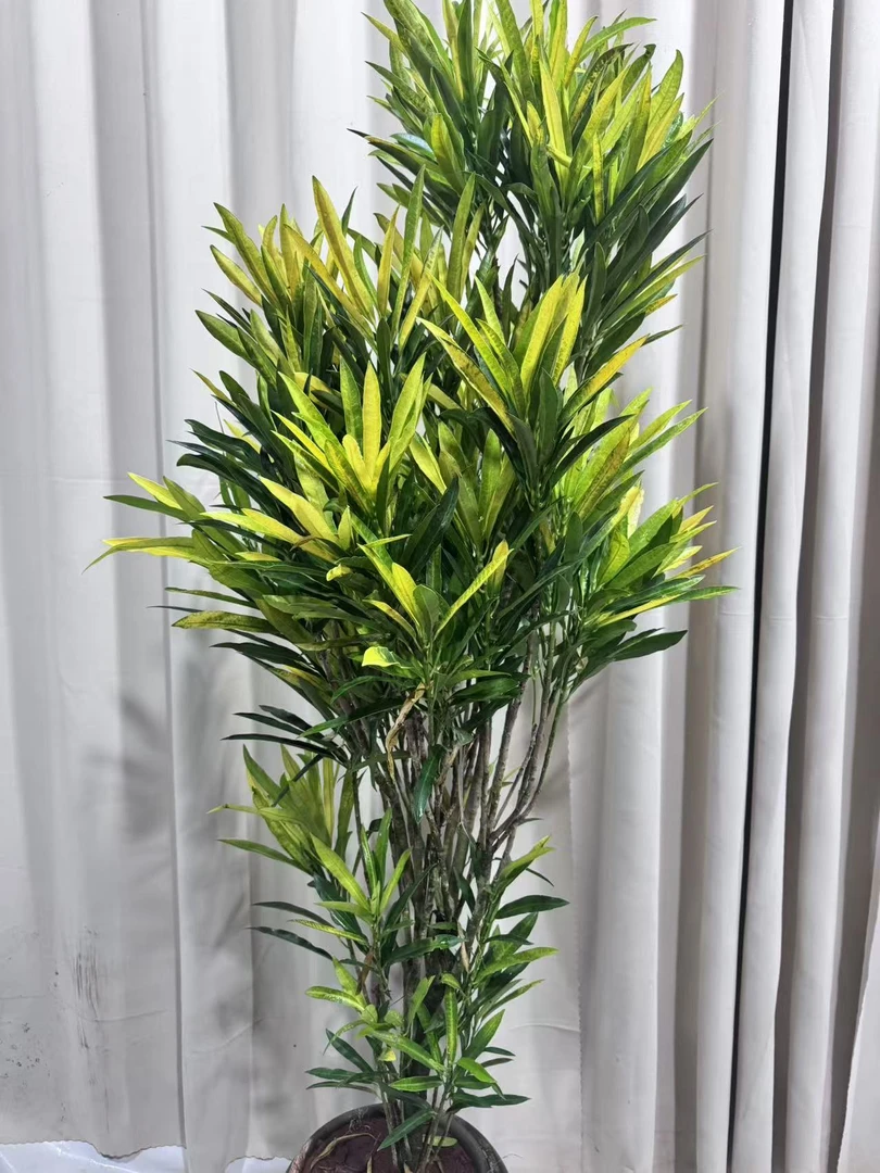 真绿植变叶木金手指盆栽用于室内装饰落地造景点缀客厅北欧风格