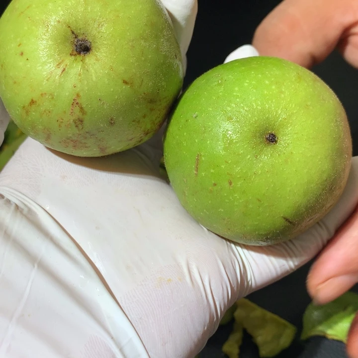 文玩核桃吊坠青皮特殊定制商品不退不换