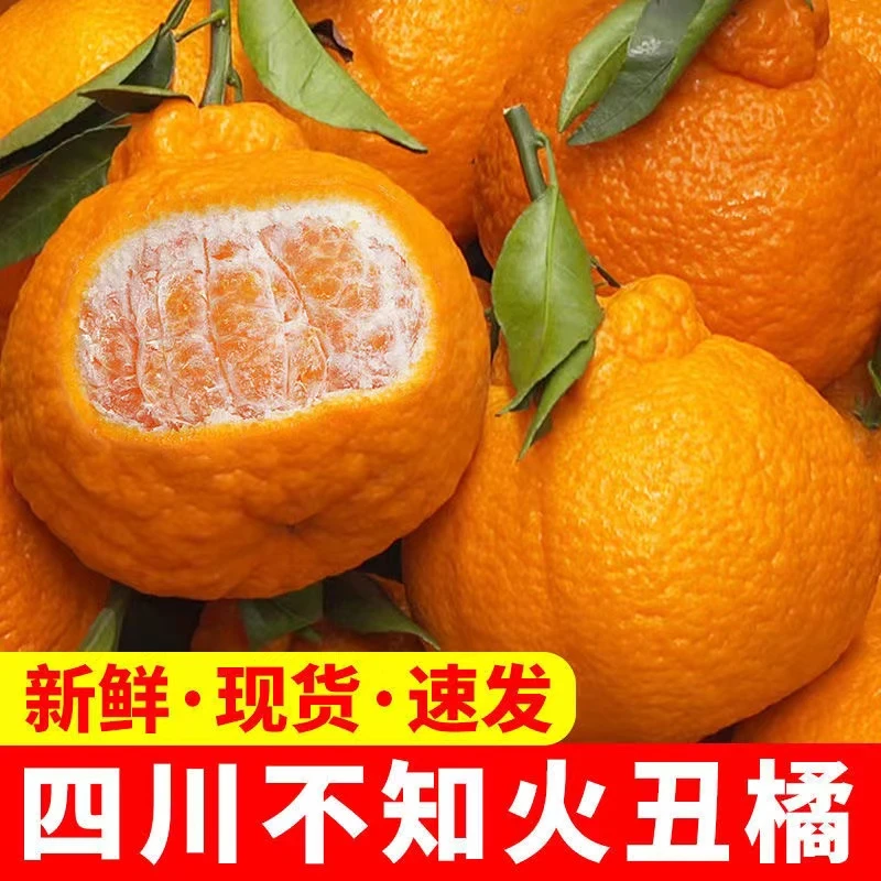 【酸甜多汁】5斤10斤装四川蒲江不知火装丑橘丑柑丑橘时令应季水果
