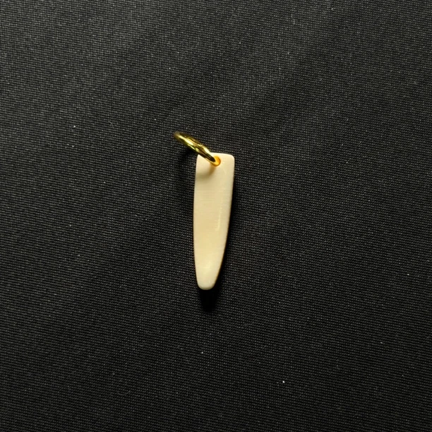 J4216 牙尖 只做天然猛犸牙