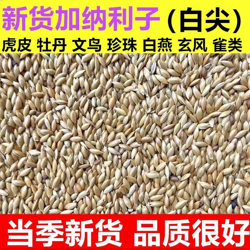 加纳利子油尖鹦鹉鸟食批发虎皮牡丹玄凤粮食包邮