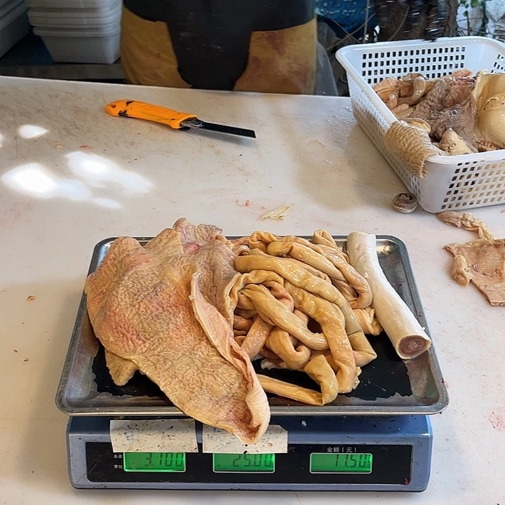 木****土耳其包装18徐悲鸿