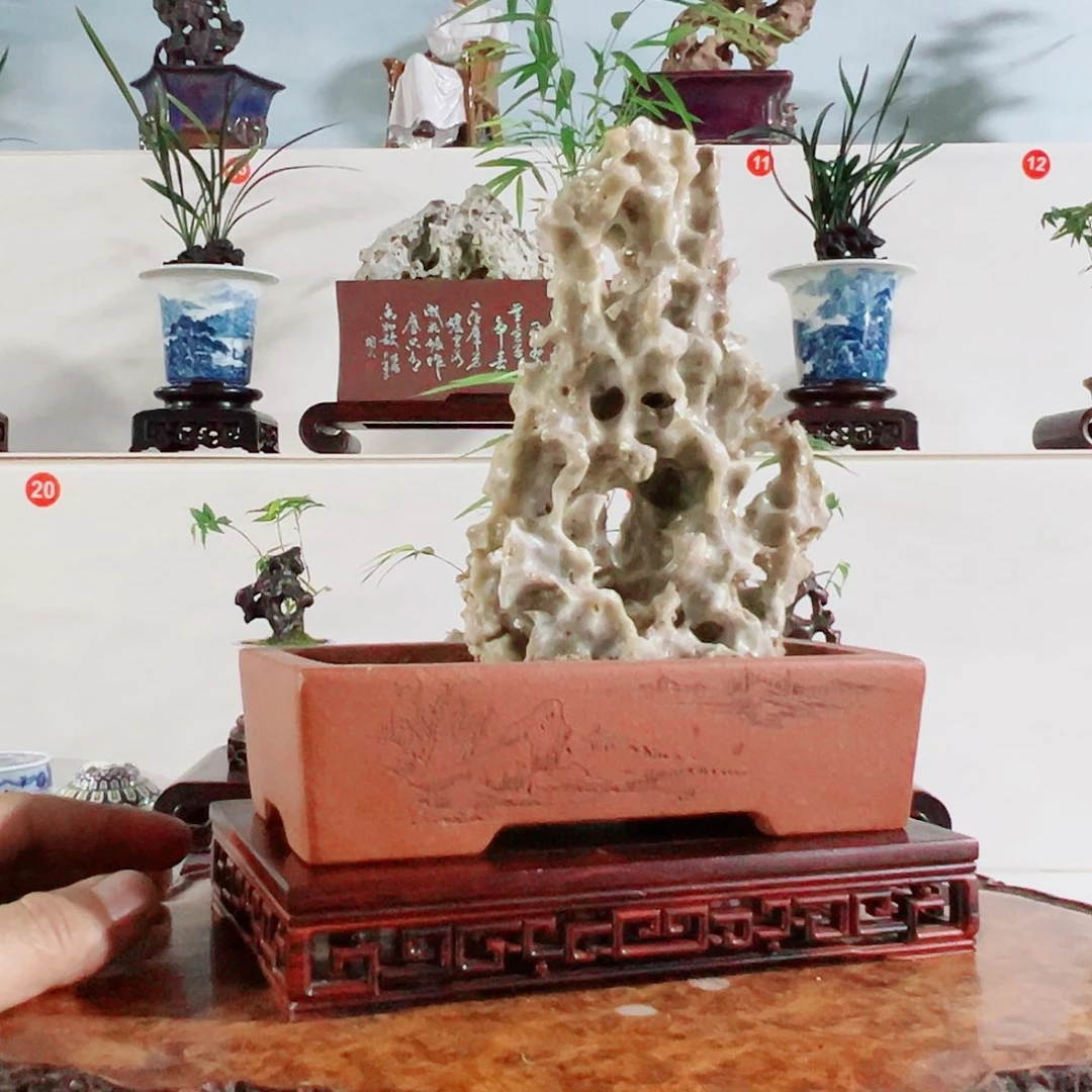 铁***瑚无花朵盆景，玲珑石，，，，，