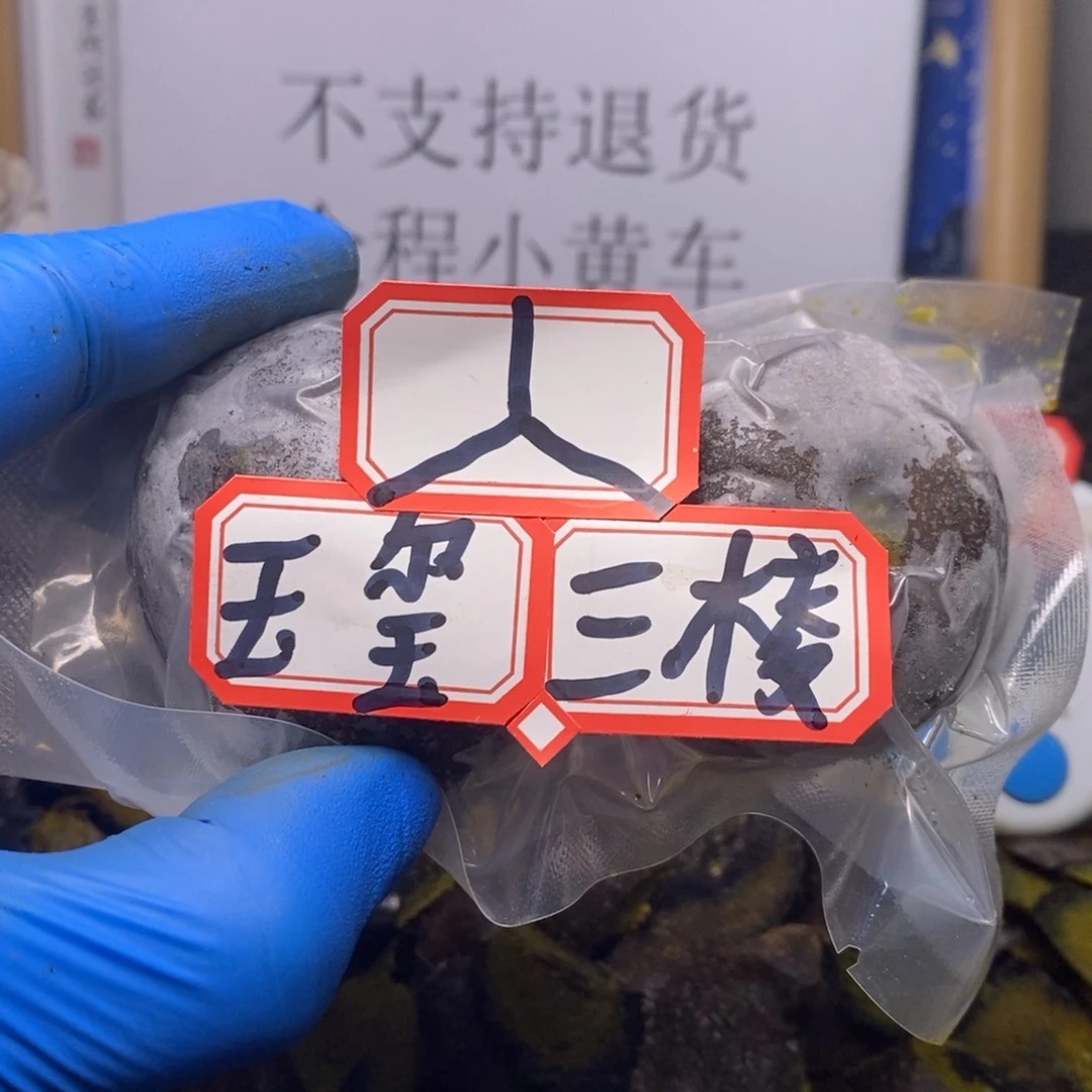 杨***～吊坠文玩核桃文玩