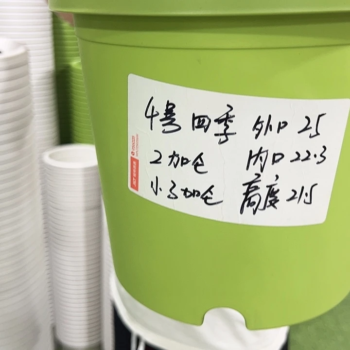 特价4号口25高21.5果绿色20只无托