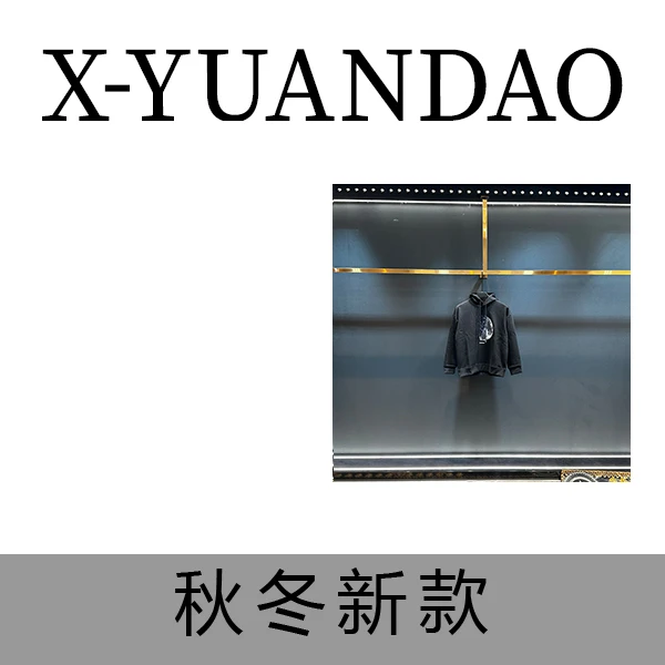 A51 秋冬高级感轻奢连帽套头卫衣【A791】