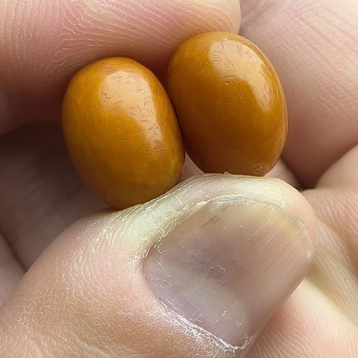 开***族白玉菩提吊坠精品