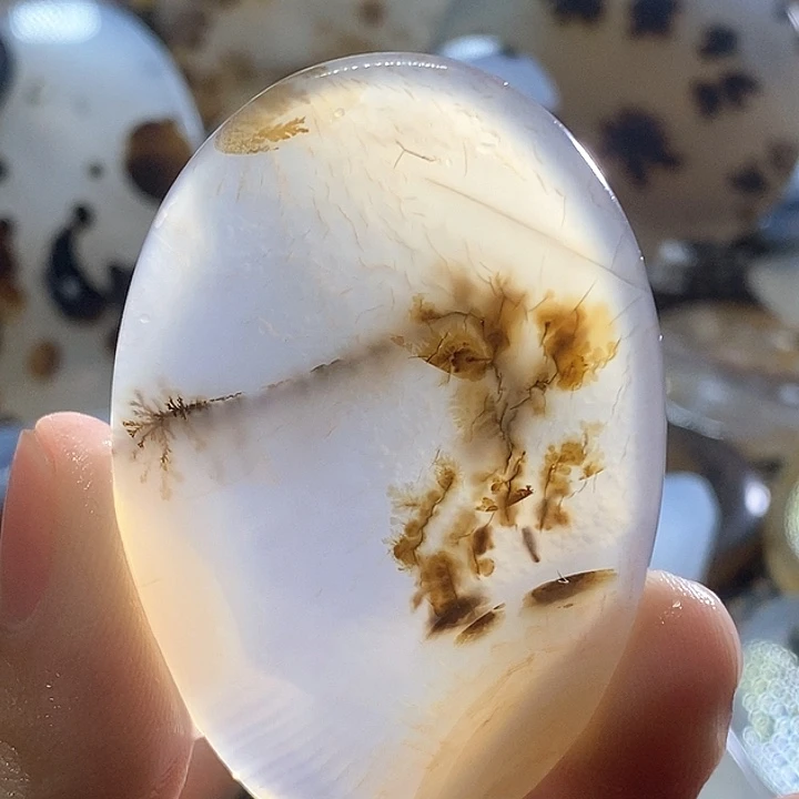 玛瑙/玉髓颈饰未镶嵌海*