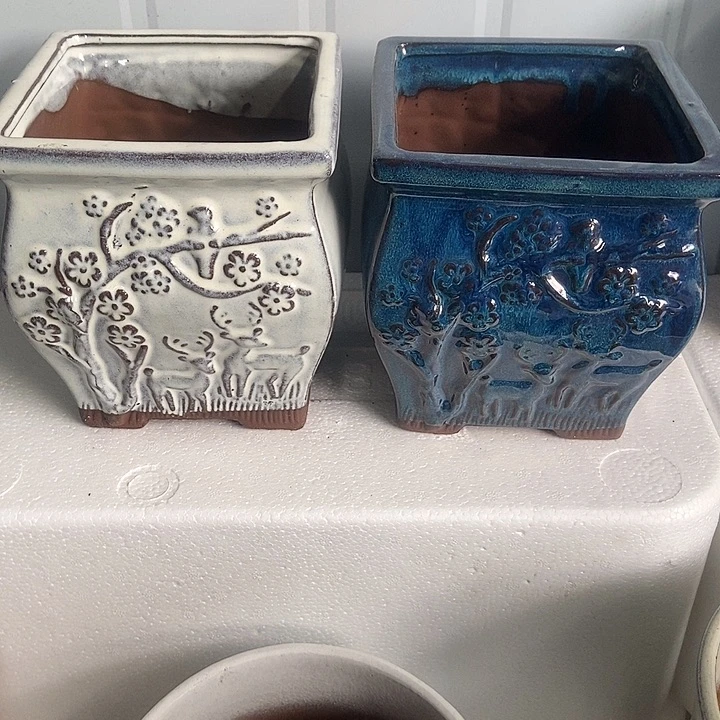 红糖15。。。。。16。。。。。。。