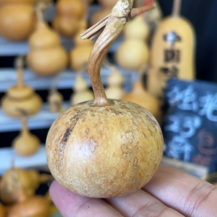 稳坐花皮小苹果响籽