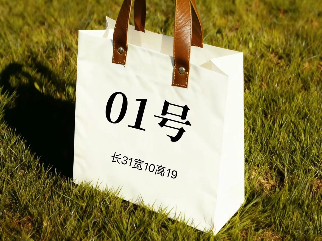 【01号】2025新款单肩包爆款时尚三色