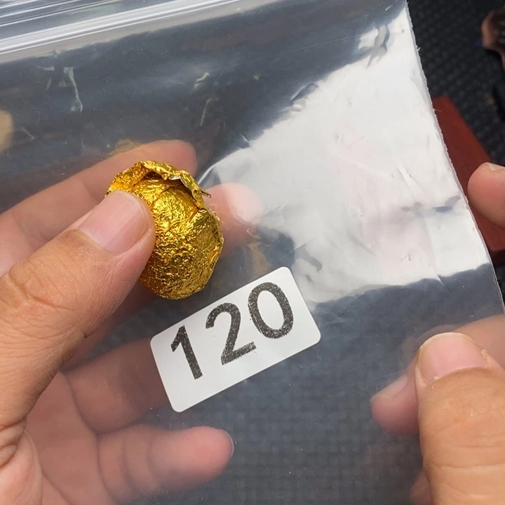 大果紫檀（缅甸花梨）