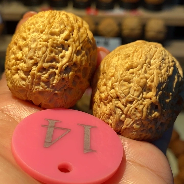 菩提籽类铁绣球42尺寸