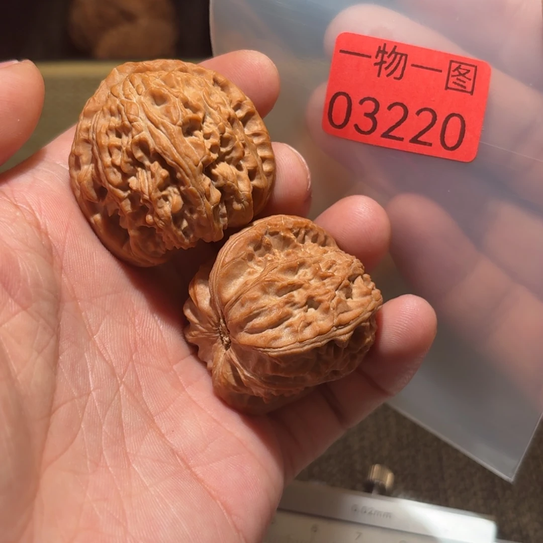 文玩核桃把件白狮子