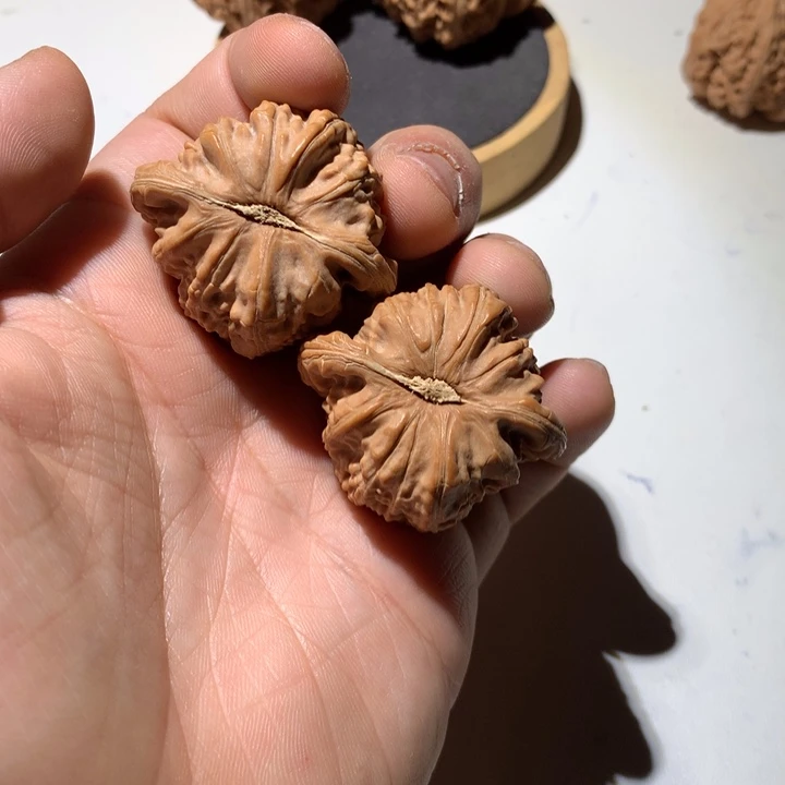 把件文玩核桃鱼***?白狮子