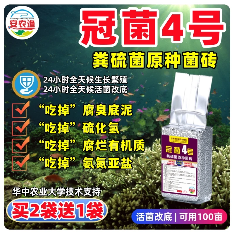 冠菌4号粪硫菌原种菌砖活菌改底分解硫化氢分解有机物降氨亚自培