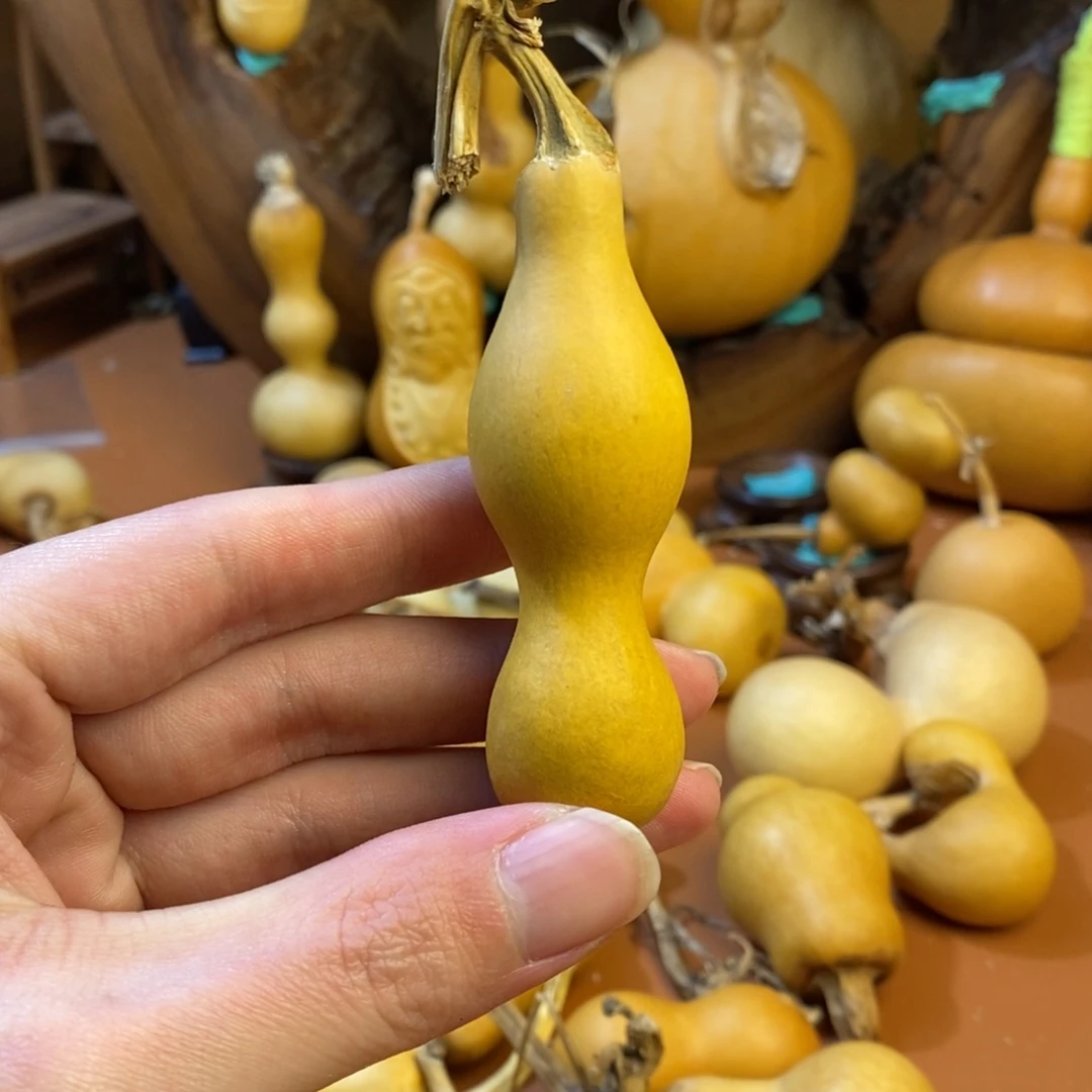 我***ꪝ教练教练教练教练经理