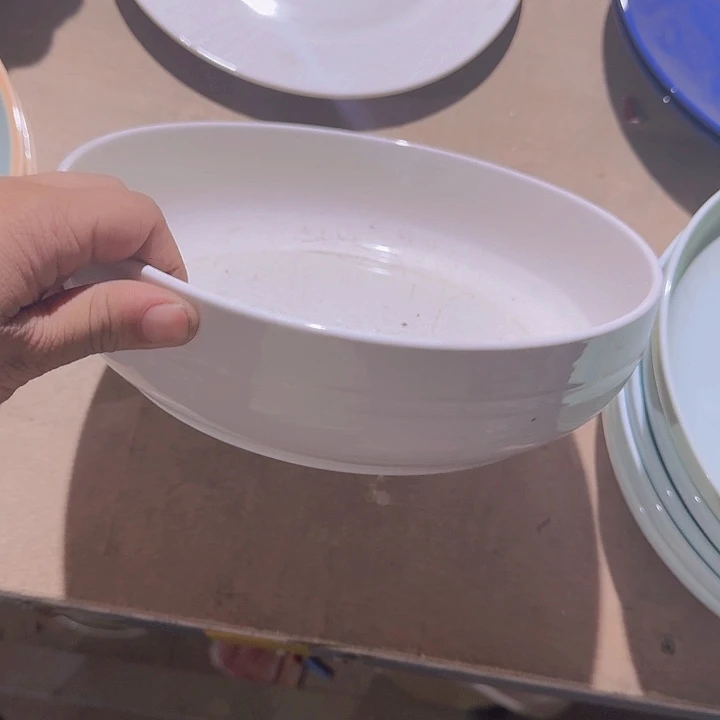 瓷10 英寸 大碗一个